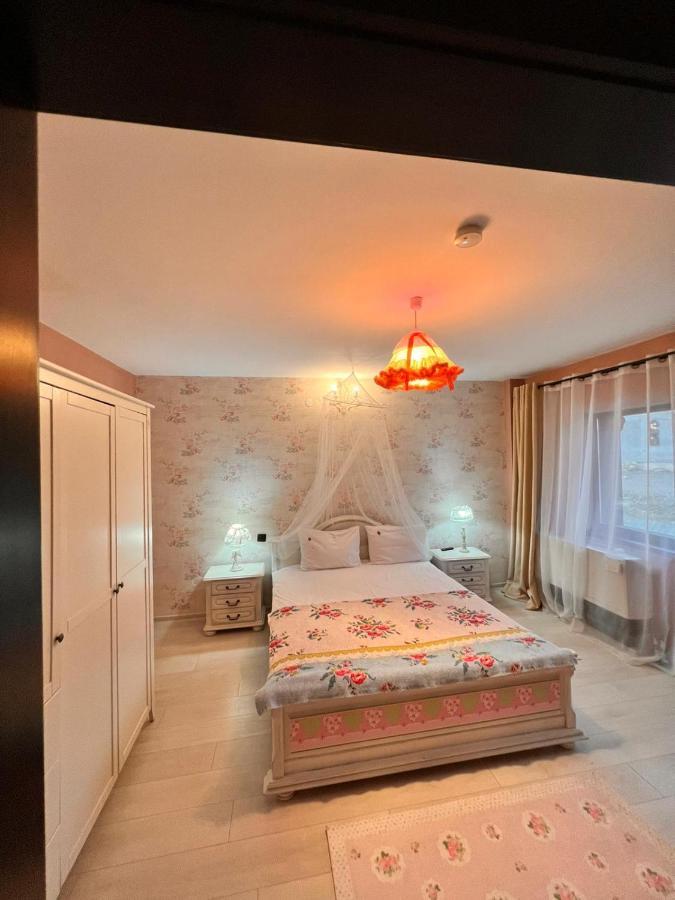 Vila Alsace Podu' Cu Lanturi Bacau Luaran gambar